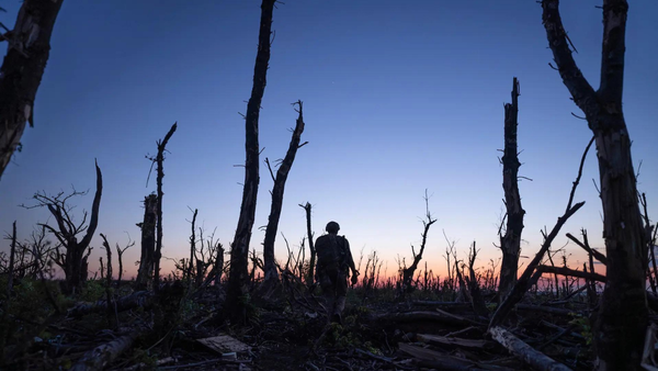 Ukraine Stands: Four years of full-scale war hasn’t broken Ukrainians. They thrive as resistance