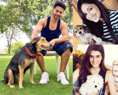 Varun Dhawan, Shraddha Kapoor and more on their pets who make them go bow wow on social media