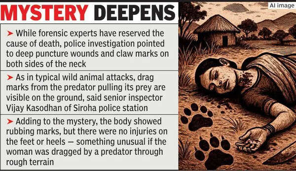 Mysterious death of woman in forest sparks debate on man-animal conflict, cops claim leopard kill