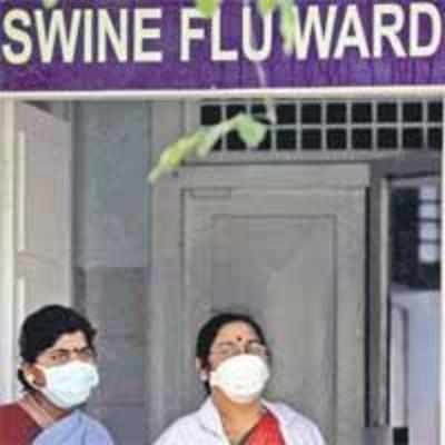 Now, swine flu cases in Punjab, Karnataka