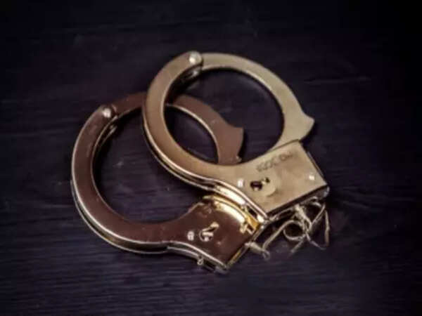 3 arrested in Purnia gang-rape case