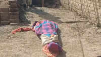 Elderly woman found beheaded in MP home, head dumped in wheat field