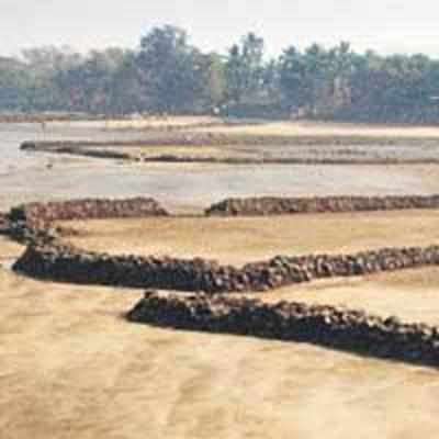 Panel to assess Alibaug SEZ