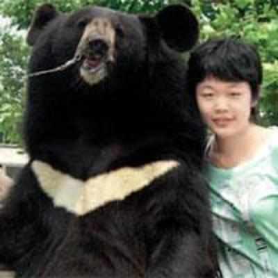 Beer-loving bear poses for pics with tourists