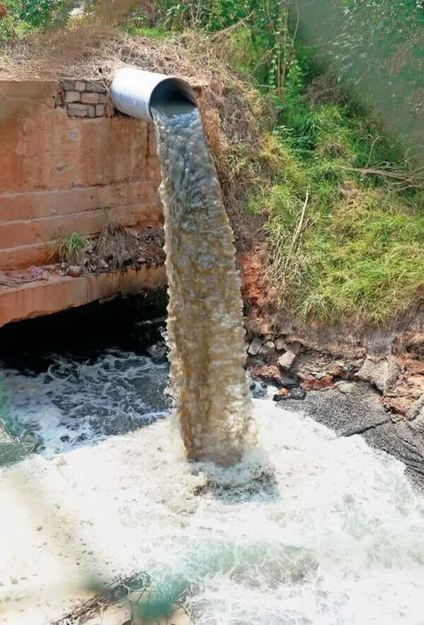 MPCB directs PMC to fix sewage treatment issues in six months