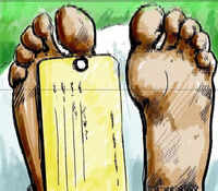 SUV trying to dodge cattle rams truck, man dies in Faridabad
