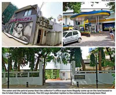 Collector stumps CCI for allowing salon and petrol pump on its land