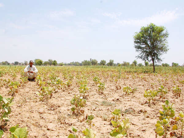 Bihar emerges as a huge market for farm equipment