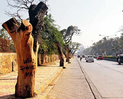 Juhu residents allege BMC ‘killed’ 50 trees