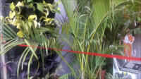 Vertical Garden at Nagpur Metro Station 