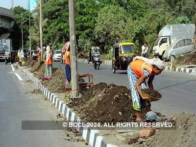 BMC justifies nod granted to private agencies to trim trees