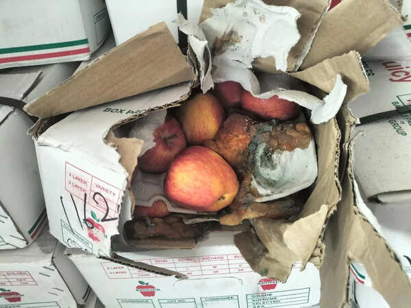 8,500kg rotten fruits, 1,500kg expired dates destroyed in Muhana Mandi raid
