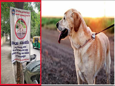 Malleswaram Mirror Special: Clean streets, happy feet