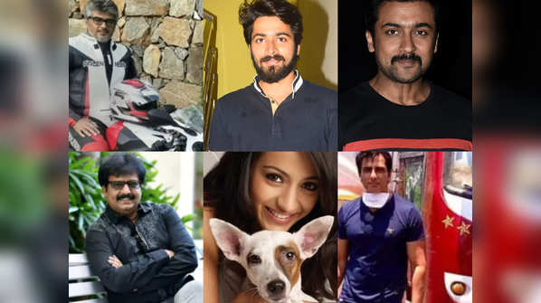 From Ajith to Harish Kalyan: Kollywood celebs who support social causes