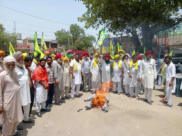 Farmer organisations burnt effigies of BJP, Pb governor