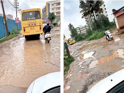 This stretch of road is one big pothole it seems