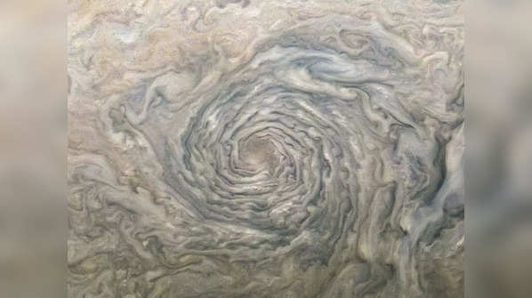 Jovian vortex