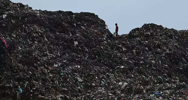 CAG flags gaps in waste management in Punjab’s urban bodies
