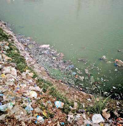 Seegehalli Lake throws up dead fish