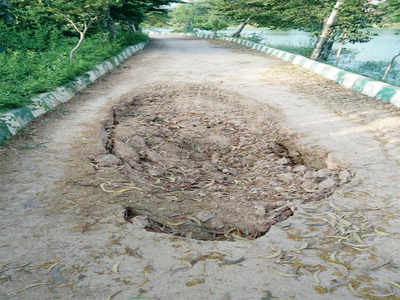 Kasavanahalli Lake’s walk path is caved-in no more