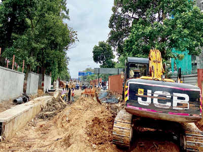 Tree trouble for BBMP