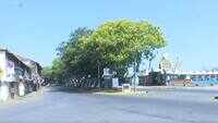 Covid-19 crisis: Tourist hotspot Goa wears deserted look amid lockdown 
