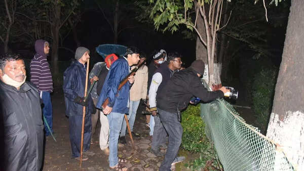 Leopard on the loose! Frantic hunt in Indore zoo for missing cat