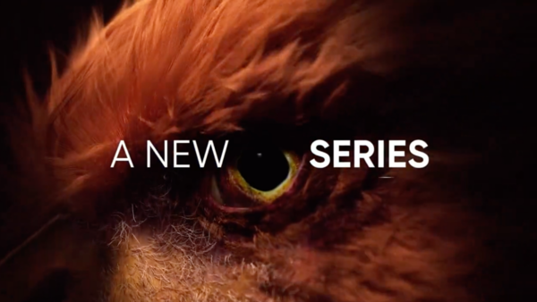 Realme teases a new smartphone series in India, to come with powerful performance