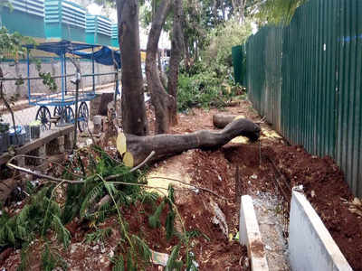 Trees cut to widen road in Whitefield
