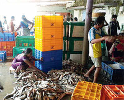 Go fish! No sales at Sassoon Docks