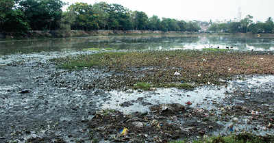 Govt apathy sending another Bengaluru lake to its deathbed