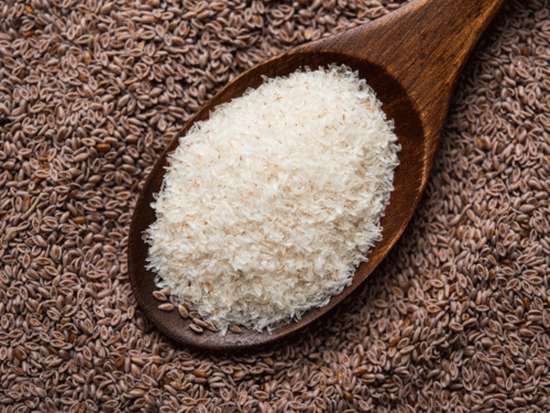 Isabgol Benefits: What is Isabgol (Psyllium Husk) and why you must include it in your diet?