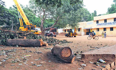 Only two trees were cut for Indira Canteen: BBMP