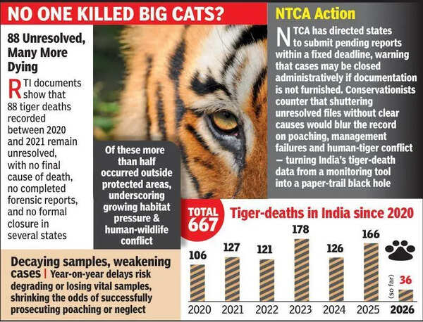 NTCA may close tiger death cases if states miss deadlines