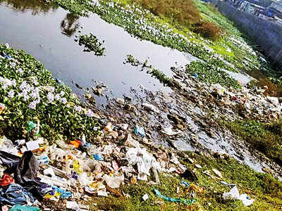 The before and after of Mumbai’s water lifeline: Residents can finally see the river water flowing instead of heaps of plastic