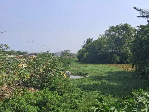 Neglected canal along Ennore High Road in city raises flood risk