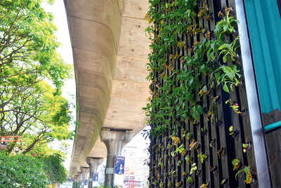 Metro pillars a vertical garden