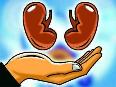 ‘No action in executive kidney transplant case’