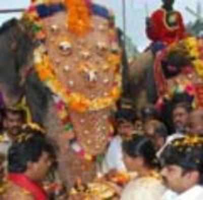 Dasara elephants start their journey