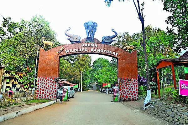 Sendra fest observed without hunting: DFO
