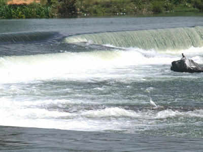 K'taka decides to release 10k cusecs of Cauvery water