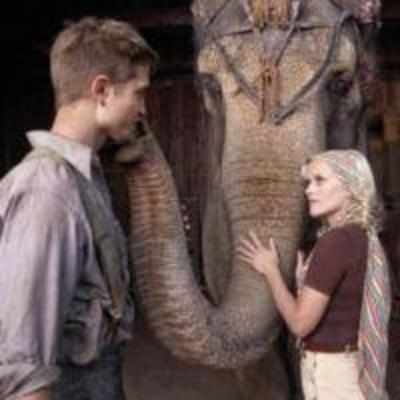 Water For Elephants: Almost Sublime