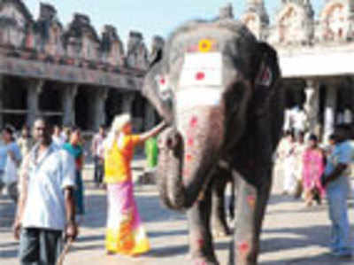 State temples go frugal on in-house jumbos despite ample endowments