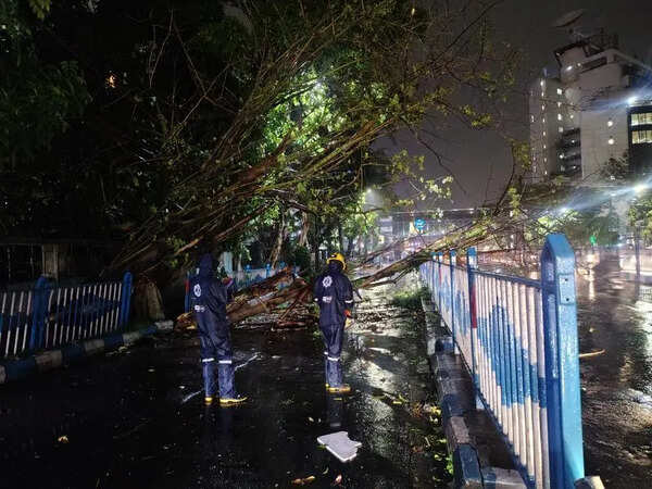 Twin squalls batter city, disrupt flights, uproot trees; more in store