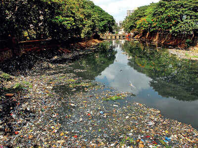 BMC fined Rs 34 cr for letting untreated sewage into the sea BMC fined Rs 34 cr for letting untreated sewage into the sea