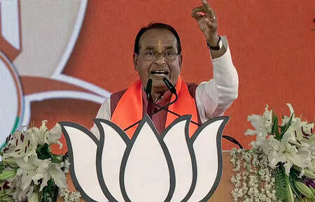 Madhya Pradesh elections 2023: The why and how of creating new districts
