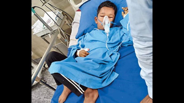 2 minor siblings die in bee attack in Ranchi