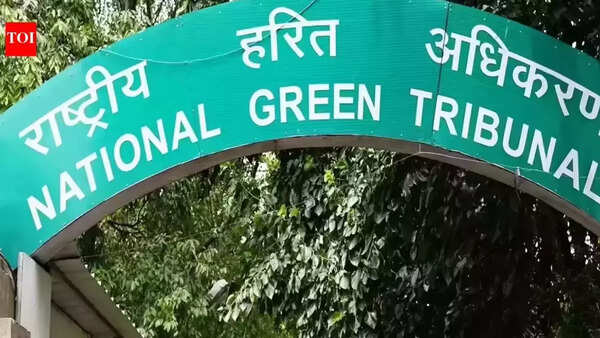 NGT issues notices to Odisha govt authorities over alleged illegal laterite quarrying in Khurda