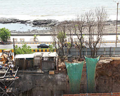 7 trees ‘killed’ for Piramal bungalow at Worli seaface