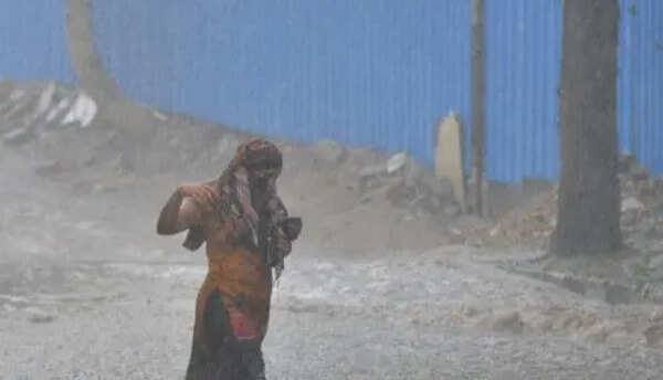 Extreme weather claimed 175 lives in AP in 2024: NCRB
